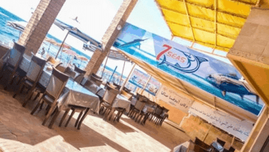 منيو مطعم أسماك عروس البحر