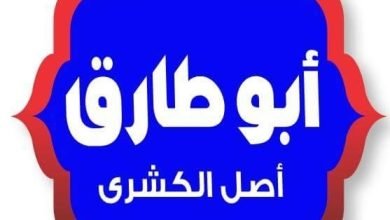 أسعار منيو و رقم فروع كشري أبو طارق