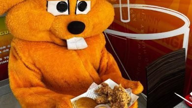 أسعار منيو عروض و رقم فروع مطعم الأرنب الجائع 2024