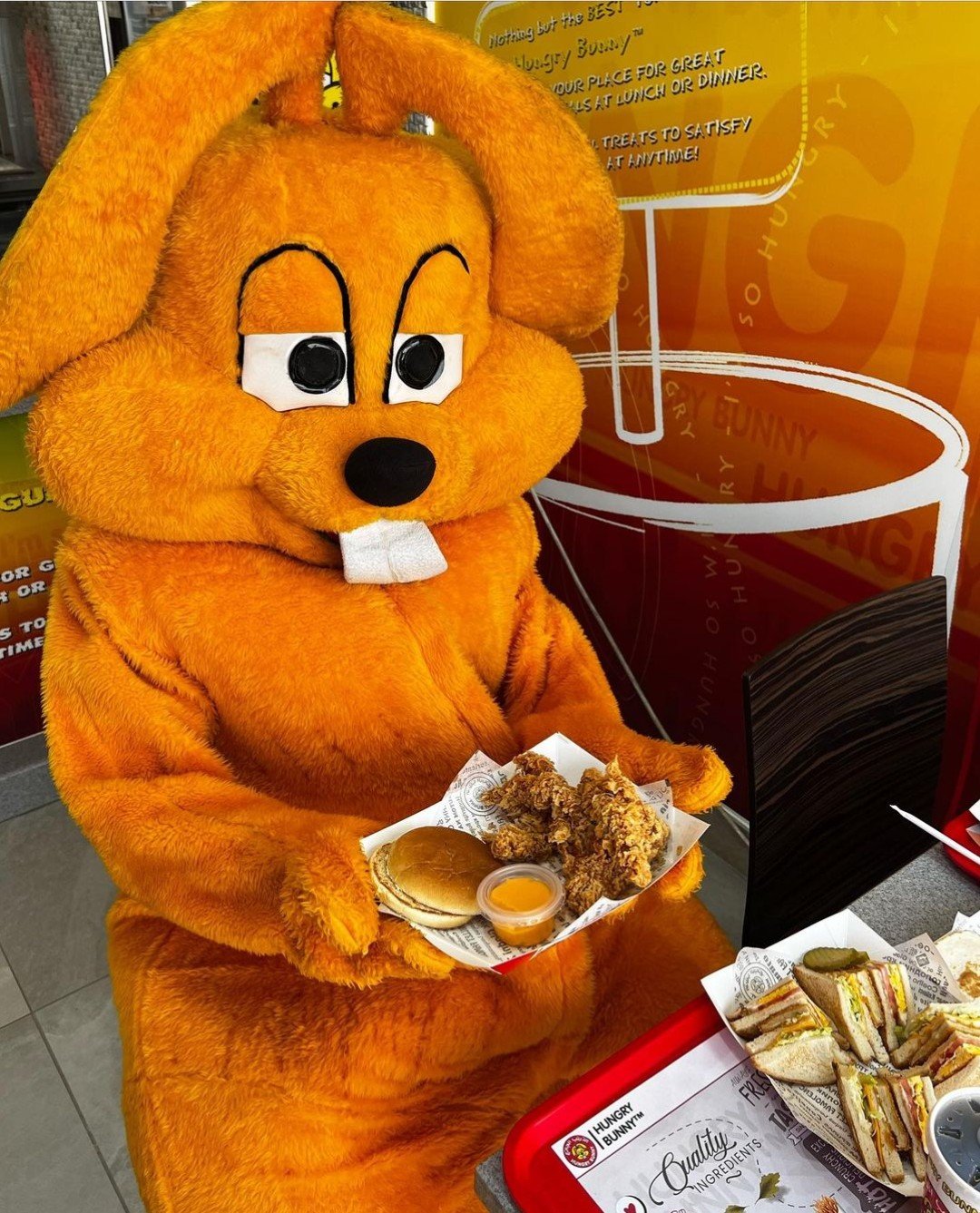 أسعار منيو عروض و رقم فروع مطعم الأرنب الجائع 2024