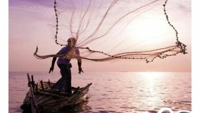 أسعار منيو عروض و رقم مطعم سمكتي الرياض 2024